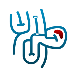 Best Laparoscopic & General Surgeons in Surat in Surat Dr.Anup patki best piles doctor in surat , Best Laparoscopic & General Surgeons in Surat | Dr.Patki
